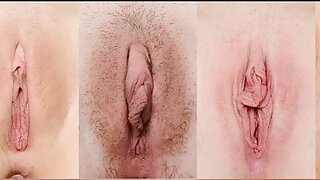 Видео на Hump Day (Ешли Адамс) - 2022-02-25 08:52:32